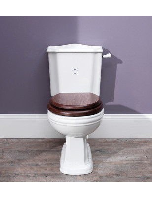 Balasani close coupled pan and cistern