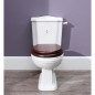 Balasani close coupled pan and cistern Balasani close coupled pan and cistern