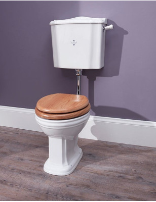 Balasani pan and low level cistern