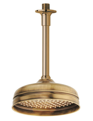 Shower head for ceiling mount