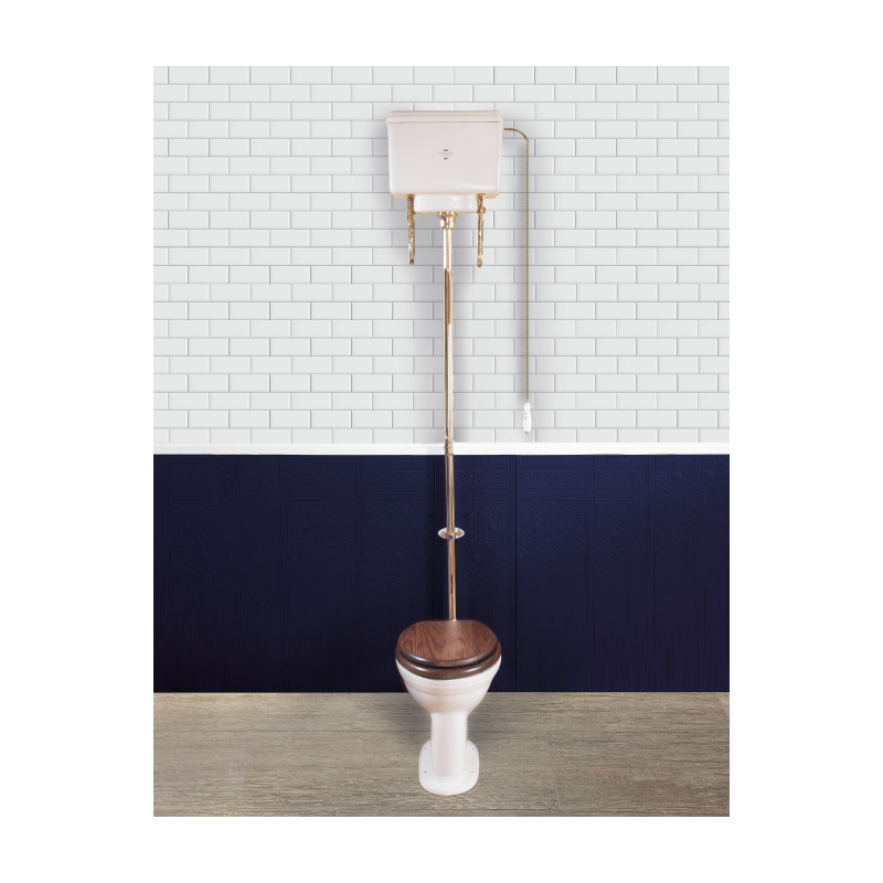 Victorian pan and high level cistern Victorian pan and high level cistern