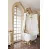 Shower rod